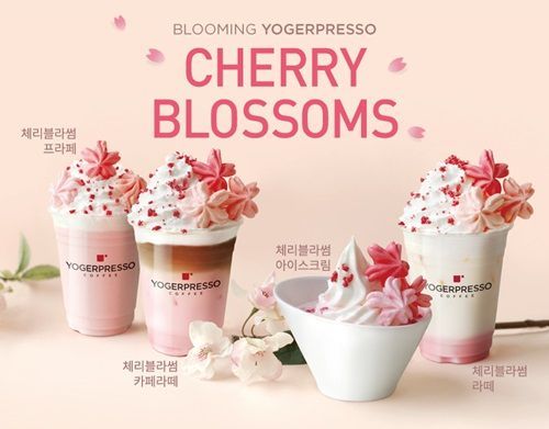 체리블라썸 이미지