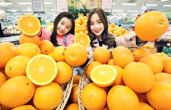 오렌지 이미지