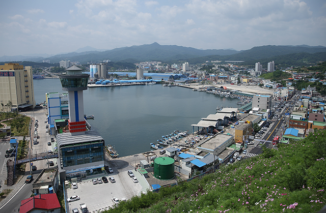 동해건설 인력 이미지