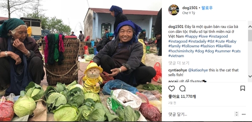 채소 파는 고양이 [인스타그램 화면 캡처]