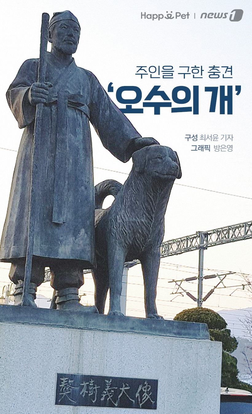 오수1 이미지