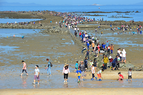 충남 보령 무창포 앞바다는 해수면 높이가 70cm 이하일 때 바닷길이 드러난다. [사진 해양수산부]