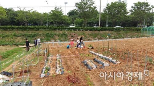텃밭2 이미지