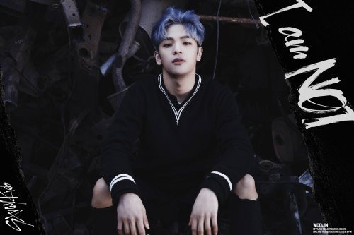 우진 이미지
