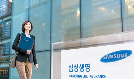 보람에프씨(FC) 이미지