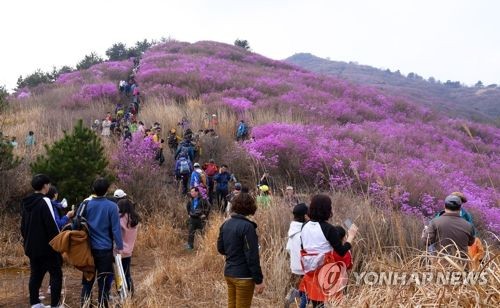 순천만놀러와5 이미지