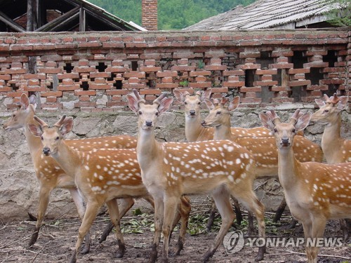 국립생태원 멸종위기종복원센터 이미지