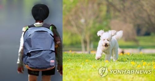 ����̿� �ֿϰ� [���մ���TV, ��Ƽ�̹�����ũ ����]