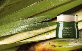 더샘인터내셔날 이미지