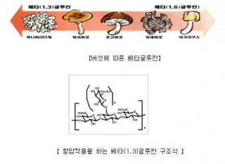 (주)글루칸 이미지