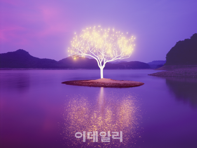 생명나무 이미지