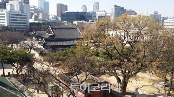 세실 이미지