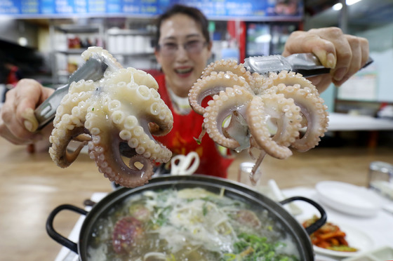 충남 서천은 주꾸미 맛 잔치가 한창이다. 수산물특화시장 상인이 끓는 물에 살짝 데쳐 꽃처럼 말린 주꾸미를 들어보이고 있다. 프리랜서 김성태