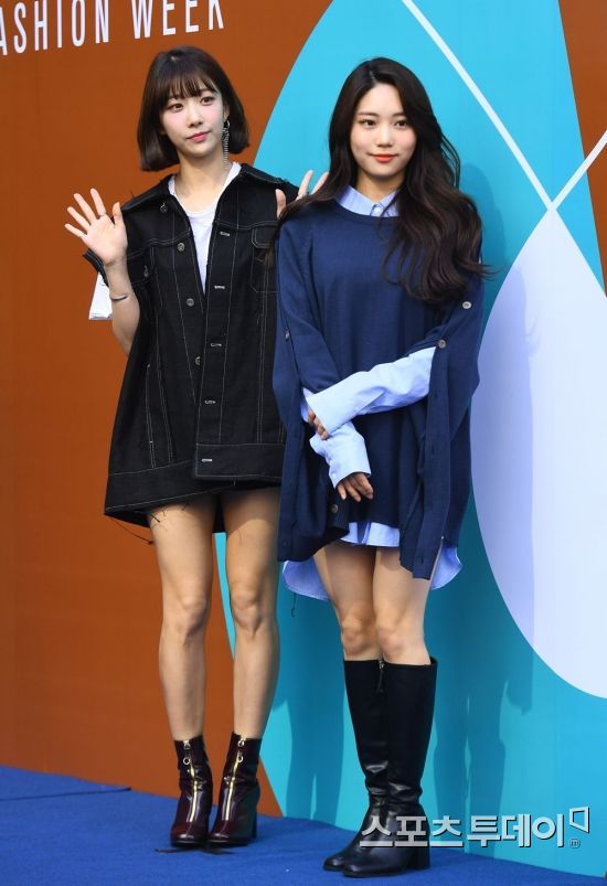 주은콜렉션 이미지