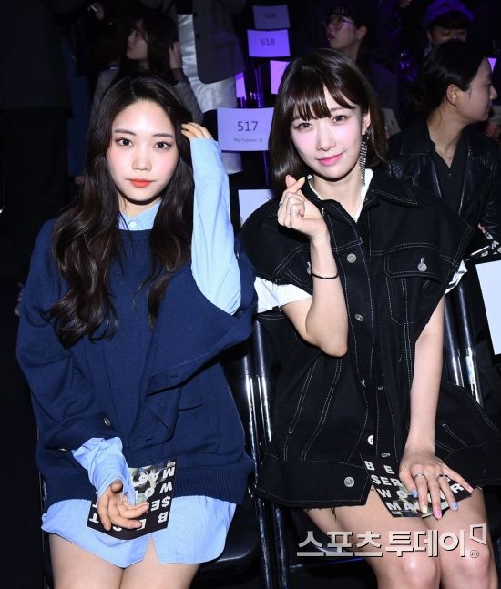 주은콜렉션 이미지