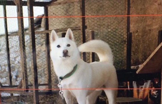 오구오구 이미지