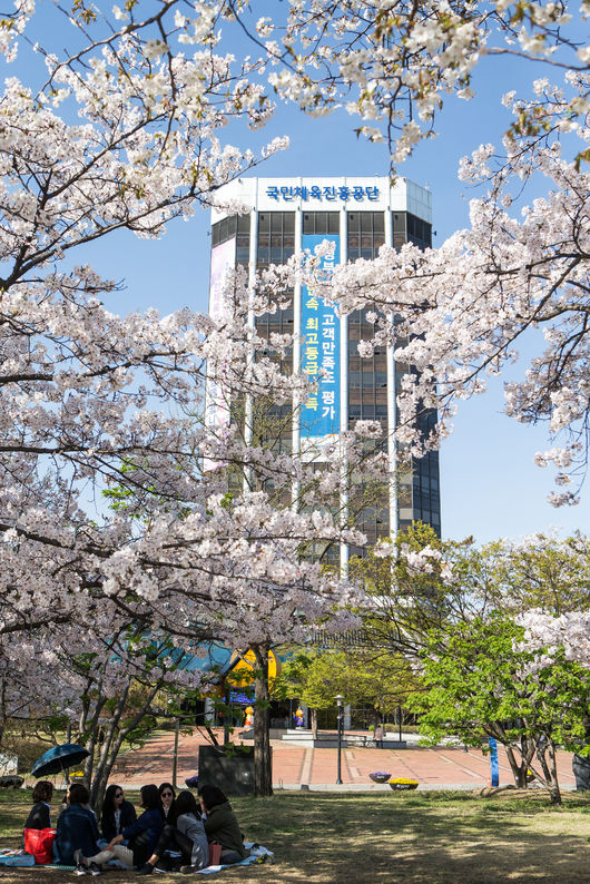 한국인성진흥개발원 이미지