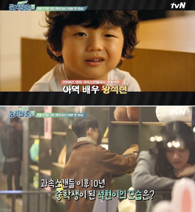 꼬마둥지 이미지