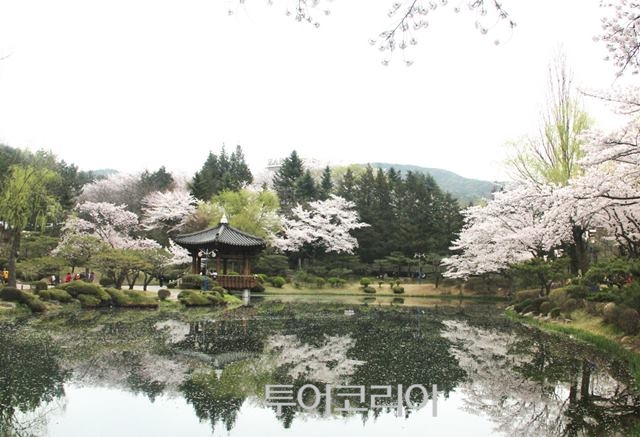 (주)천년코리아 이미지