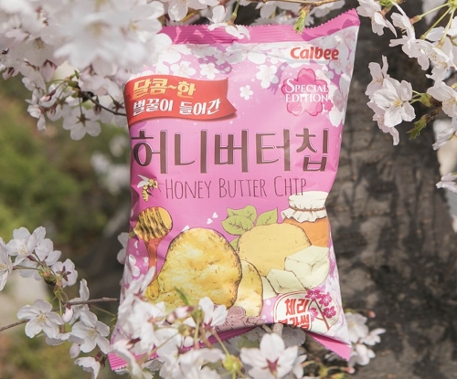 체리블라썸 이미지