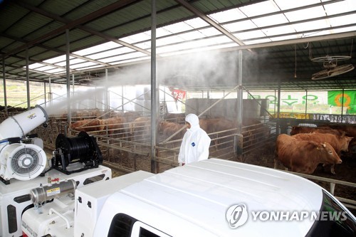 광주대신유통 이미지