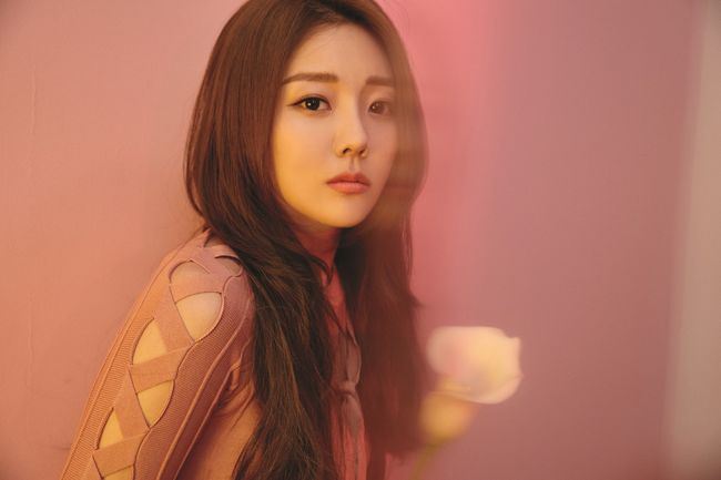 예인엔터테인먼트 이미지
