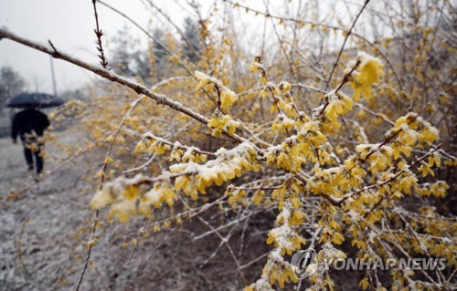 시샘 이미지