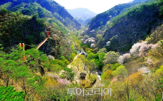 봄힐링 이미지