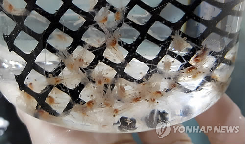 도화당구장 이미지
