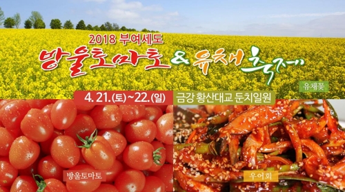 부여토마토 이미지