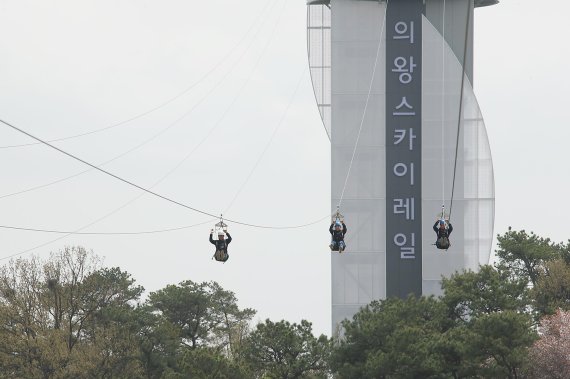 화사한 이미지