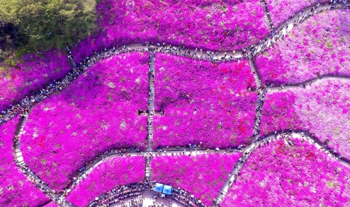 동산관광주 이미지