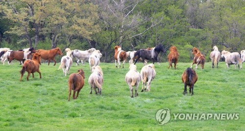 초원축산 이미지
