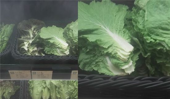 청과야채식품관 이미지