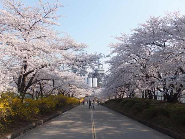 한창화학 이미지