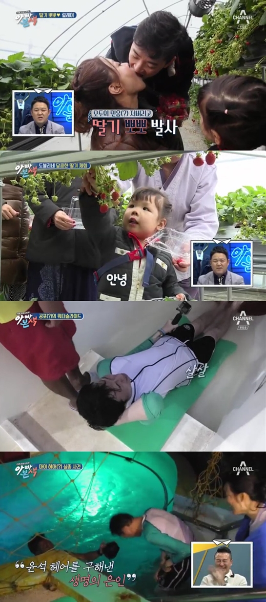 아빠의 달콤한 농장 이미지