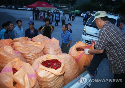 진천군 농산물유통지원센터 이미지