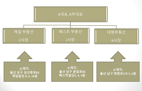 울산 경찰에 적발된 기획부동산 조직도. /피해자 측 제공