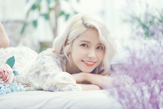 솔라 이미지