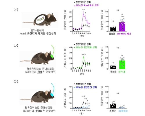 공감 이미지