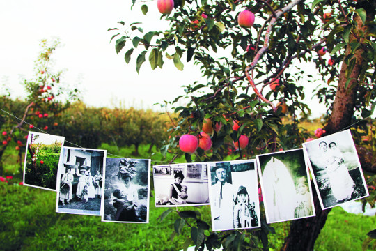 The  studio  of  apple  farm, @shin hyunrim c-print 2010