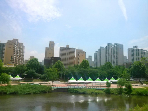 이새수성 이미지