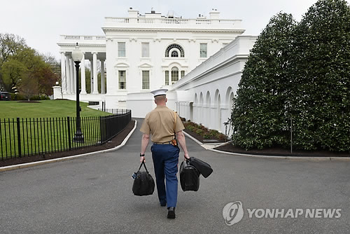 대신유화 이미지