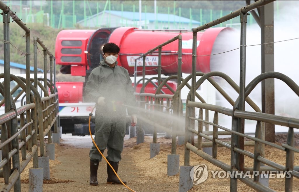 우시장 이미지