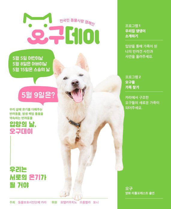 5_9데이 이미지