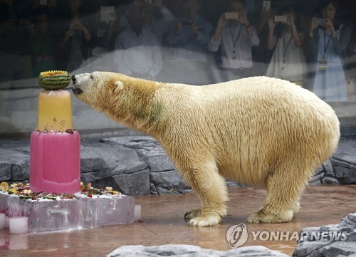 이누카 이미지