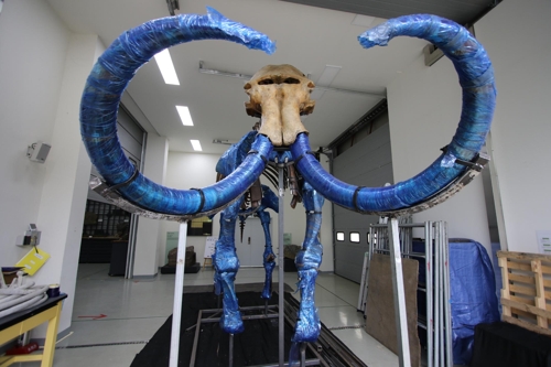 매머드 골격.