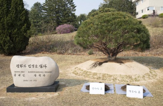 정상 인근 이미지