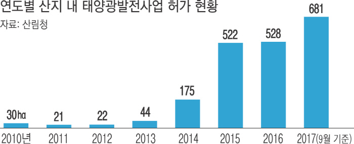 태양산림 이미지