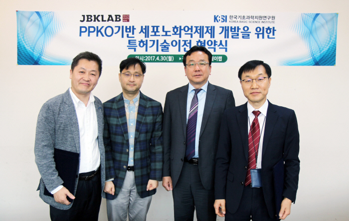 제이비케이 이미지